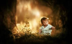 Design a modern kids room with our removable kids wallpaper and murals that your little one will love for years to come! Wallpaper Cute Little Boy Sit On Grass Ground Child 1920x1200 Hd Picture Image