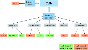 Check spelling or type a new query. Nanoparticles As Transfection Agents A Comprehensive Study With Ten Different Cell Lines Rsc Advances Rsc Publishing Doi 10 1039 C5ra25333k