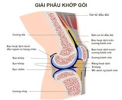10 bệnh xương khớp thường gặp nhất