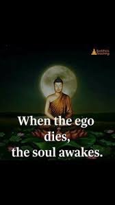  900 Awareness Ideas In 2021 Inspirational Quotes Words Words Of Wisdom