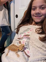 ISO young bearded dragon. Please let me know if you have one you're  rehoming 😊