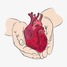 Heart And Hands Health Symbol Medicine Human Hand Draw Vector Illustration Print Set Vecto Hand Drawn Vector Illustrations Illustration Print Hand Drawn Vector