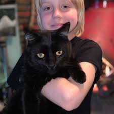 Fundraiser for John and Ashlee Cutler by Dawn Stringer : Help save Vader