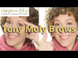 TONYMOLY 7DAYS Perfect Tattoo Eyebrow DEMO