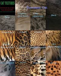 175 Free High Res Animal Fur Textures Best Design Options Dieren Textuur Maken Texturen