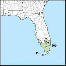 Is there a variety of peony that i can grow in south central florida (zone 9a)? South Florida Butterfly Garden Guide
