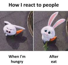 Pin De Marijke Kroon En Funny Quotes Ironias De La Vida Meme Del Dia Gracioso