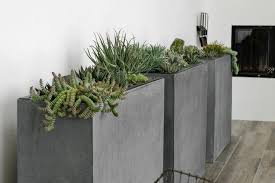 Pflanzen Fur Drinnen In 2020 Garden Design Planters Planter Design