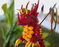 2026 Harvest Fair