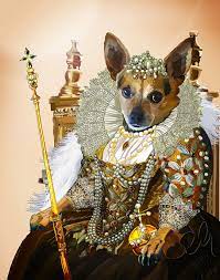 Our custom dog & cats portraits is expertly crafted by our best pet portrait artists. Royal Pet Portrait Queen Elizabeth Funny Regal Dog Portrait Etsy Animal Caricature Pet Portraits Dog Portraits