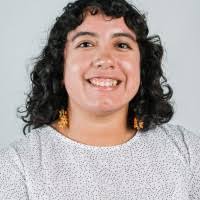 4000+ "Silvas" profiles