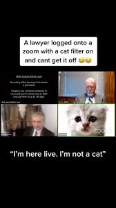 During a hearing on tuesday in texas' 394th judicial district court, a but here was rod ponton, a county attorney in presidio county, texas, unable to figure out how to turn off the cat filter on his zoom call during a. Discover Lawyer Cat Filter S Popular Videos Tiktok