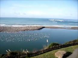 Seacliff on the Bluff Hotel, Gualala California - YouTube