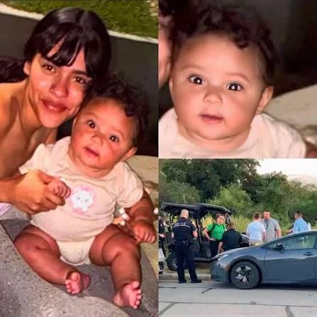 Saturday morning the focus of the search for 7-month-old Ozana Cisneros was  back at Concepción Park, where authorities say they found skeletal remains  on Friday. Click Watch Live at the link in