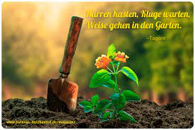 The short story exposes inequality between men and women in. Narren Hasten Kluge Warten Weise Gehen In Den Garten