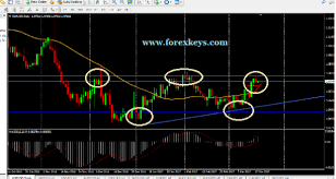 Forex Technical Chart Analysis Weekly Report For 20 To 24th