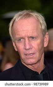 2+ Thousand Hogan Royalty-Free Images, Stock Photos & Pictures