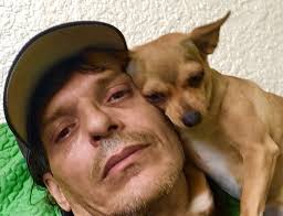 Huskies playing together