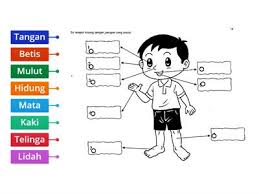 No comments kurikulum standard prasekolah kebangsaan semakan 2017 berserta dengan penerangan. Anggota Tubuh Badan Asas Sumber Pengajaran