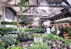 This Collingwood Nursery Is Hosting A Huge Indoor Plant Sale Today Plants Indoor Plants Greenhouse