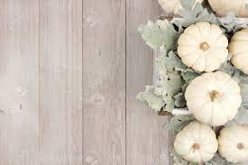 Pin amazing png images that you like. Autumn Side Border Of White Pumpkins And Silver Leaves Over A Stock Photo Picture And Royalty Free Image Image 87595525