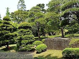 Die 10 Schonsten Parks In Tokio 2020