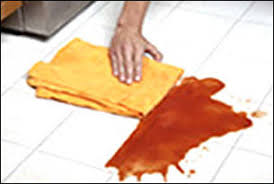 Image result for images of the sham wow