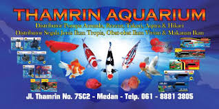 Original 100w fish tank shrimp aquarium mini water chiller cooling fan machine ini bisa jadi milik kamu. Referensi Toko Adam Chiller Spesialis Chiller
