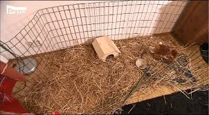 Tourettův syndrom patří mezi tzv. Ydhckfohczj5vm