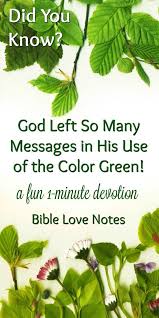 Exploring God S Message In The Color Green God Of Wonders Bible Love Green Colors