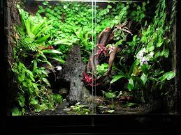 Paludarium Ray 06 03 2011 Reptile Habitat Vivarium Container Water Gardens
