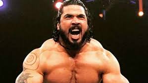 Wwe world title history 51 item list by toonhead2102 6 votes 2 comments. List Of All Indian Wrestlers In Wwe History Indian Wwe Wrsetlers