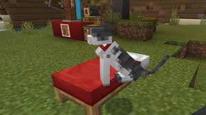 Then place a stick in the bottom middle slot. Minecraft Bedrock Update 1 10 Patch Logs New Crossbows Shield Cat And More