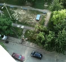 Colecție de la lala • ultima actualizare acum 3 săptămâni. Poze Blog Poze Cu Ploaie De Vara