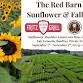 The Red Barn Farm Sunflower & Fall Festivals event image