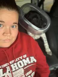 Dog with bleeding feet at GWC