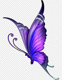 Time lapse of a butterfly drawing. Butterfly Color Purple Purple Butterfly Yellow And Purple Butterfly Purple Painted Violet Png Pngwing
