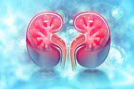 Chronic renal failure, also called chronic kidney disease, nursing nclex review lecture on the pathophysiology, symptoms, stages. Early Warning Signs Of Kidney Disease Narayana Health