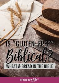 How much gluten is safe? Is Gluten Free Biblical Wheat And Bread In The Bible