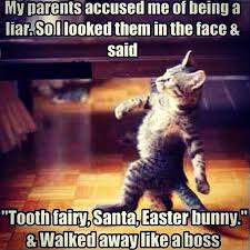 My Parents Accused Me Of Being A Liar Funny Pictures Funny Animal Pictures Animals