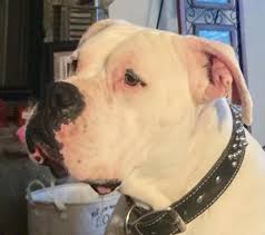 Why did Jake wear those dress shoes to the baseball batting cage & Putt  putt? 🤦🏾‍♀️