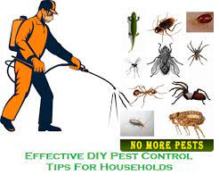 Effective Diy Pest Control Tips For Households Enviro Safe Pest Control