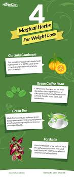 Pin On Weight Loss