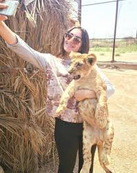 سعر تذكرة افريكانو بارك الاسكندرية Sodusvillage Org