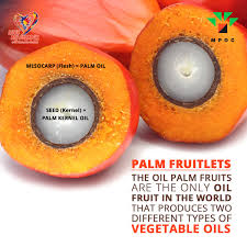 As with many other bloggers, she loves. Malaysian Palm Oil Council Europe Region On Twitter Did You Know The Oil Palm Fruits Are The Only Oil Fruit In The World That Produces Two Different Types Of Vegetable Oil