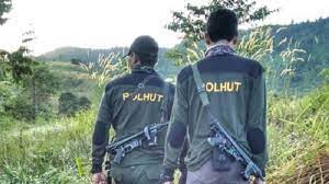 Pt sami jepara gaji 2021. Loker Polisi Hutan Bagi Lulusan Smk Minews Id