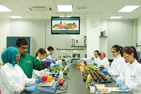 The university is situated in semenyih, hulu langat district, selangor, malaysia. Profile The University Of Nottingham Malaysia Campus Unmc Where To Study Studymalaysia Com