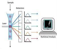 Call for Proposals no. 5 BD