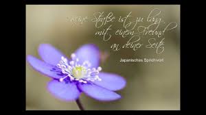 Freundschaft Schone Spruche Youtube