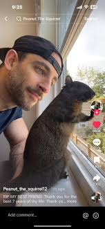 Justice for peanut and his brother the raccoon 🦝 I can't believe the  Newyork city euthanized them! 🤡 They were living their best life for the  last 7 years! This cities need